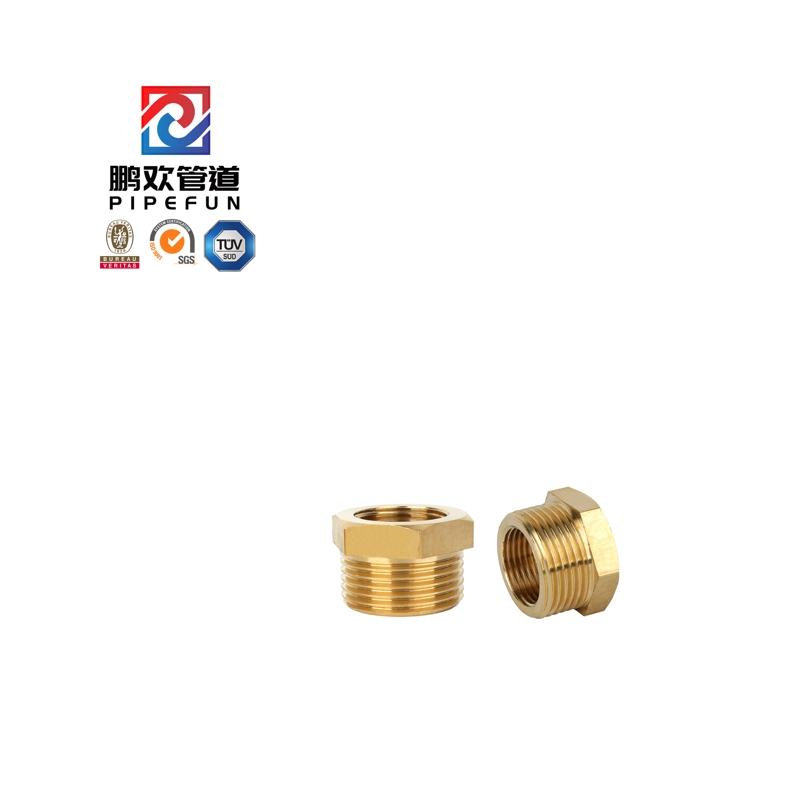 High Pressure Brass Steel Forged Thread Hex Head Bushing
