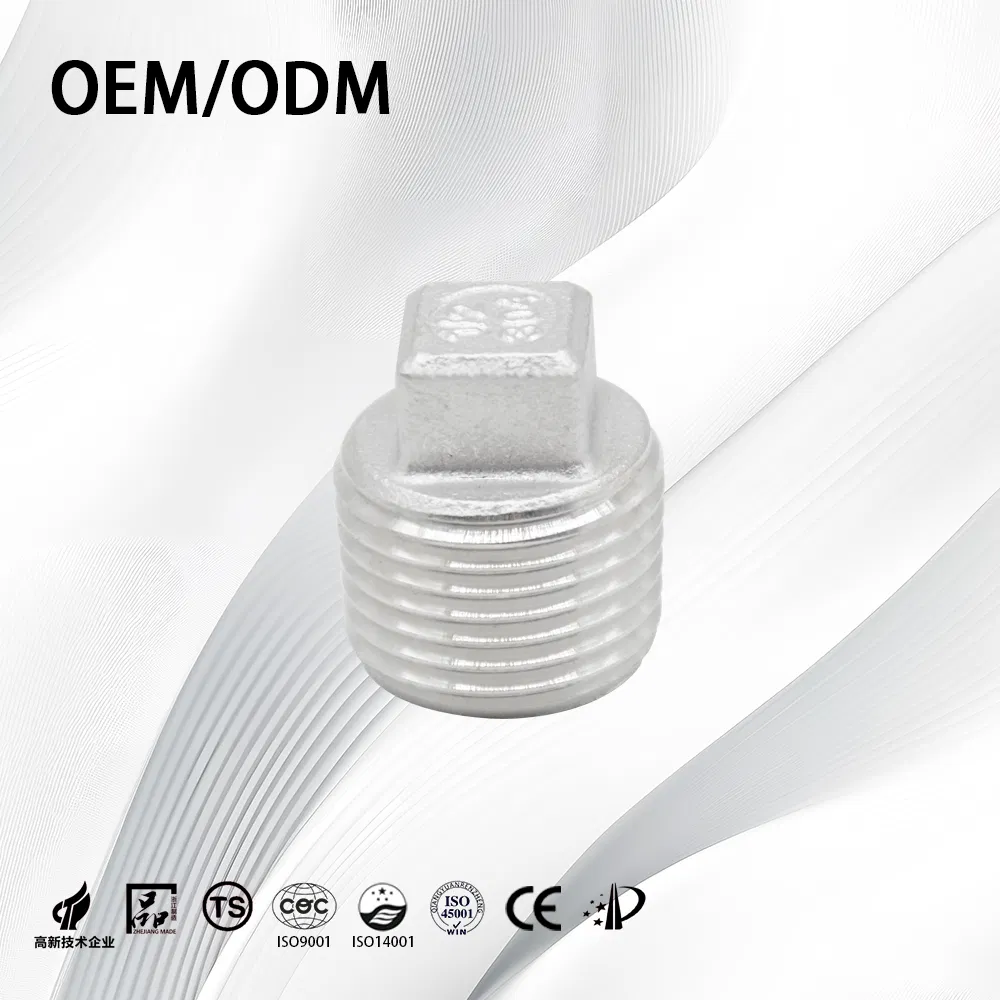 Stainless Steel/Carbon/Sanitary/Customize/Nipple Connector Threaded/Pipe Fittings/Plumbing/Tube/End Plug with Fitting Accessories