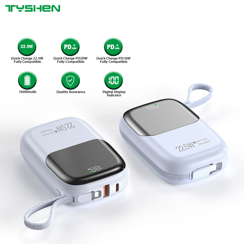 Mini-Size Power Bank 10000mAh with Quick Charge & Cables, 2024 New Models