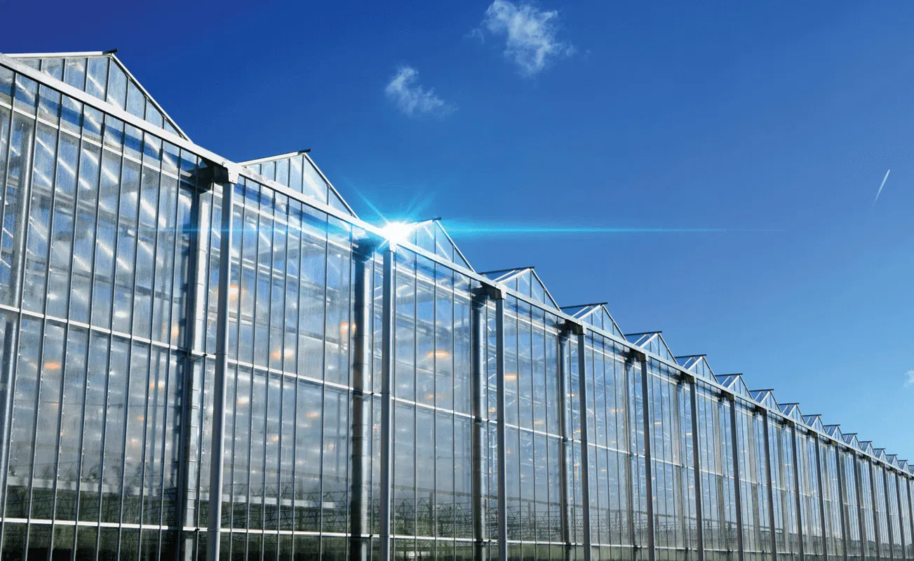 Structural Steel Fabrication Modular Steel Structure Greenhouse for Horticultural Use