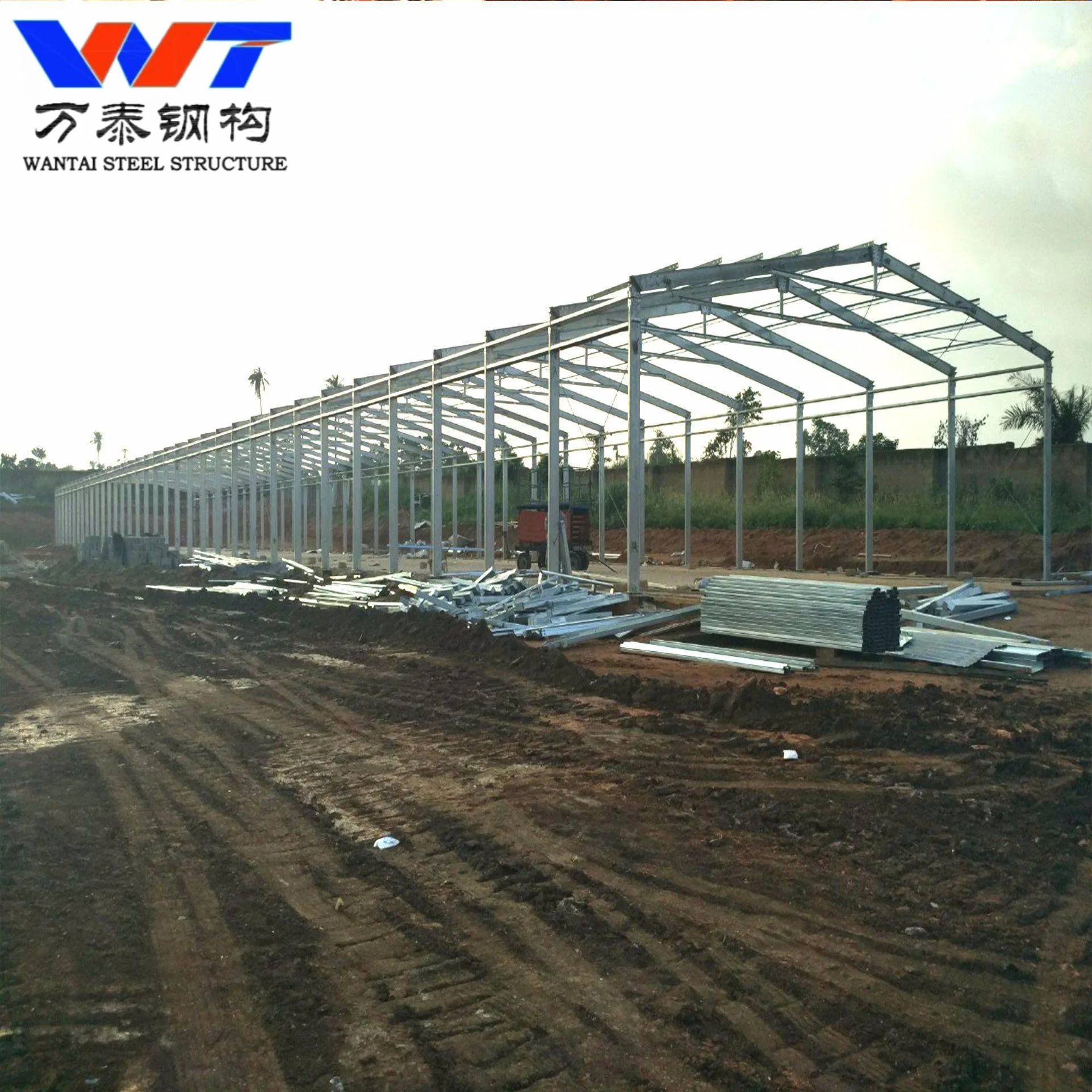 Eco-Friendly Steel-Based Handrail Installations\Metallic Skeleton Buildings\Large Span Capabilities and Design Adaptability