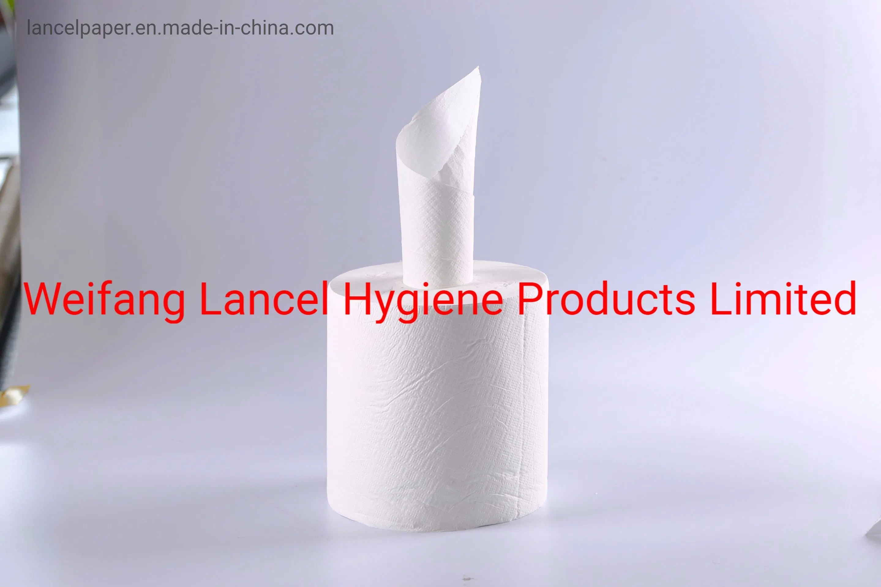 Custom Packaged Household Articles Kitchen Paper with Strong Adsorption Roll Paper Disposable Kitchen Paper Tissue