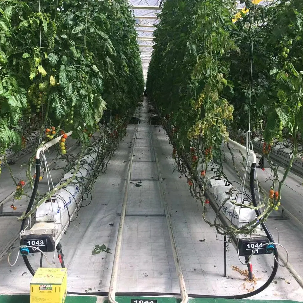 Po 150mic Warm Agro Multi Span Zigzag Agriculture Greenhouse for fruit Vegetables