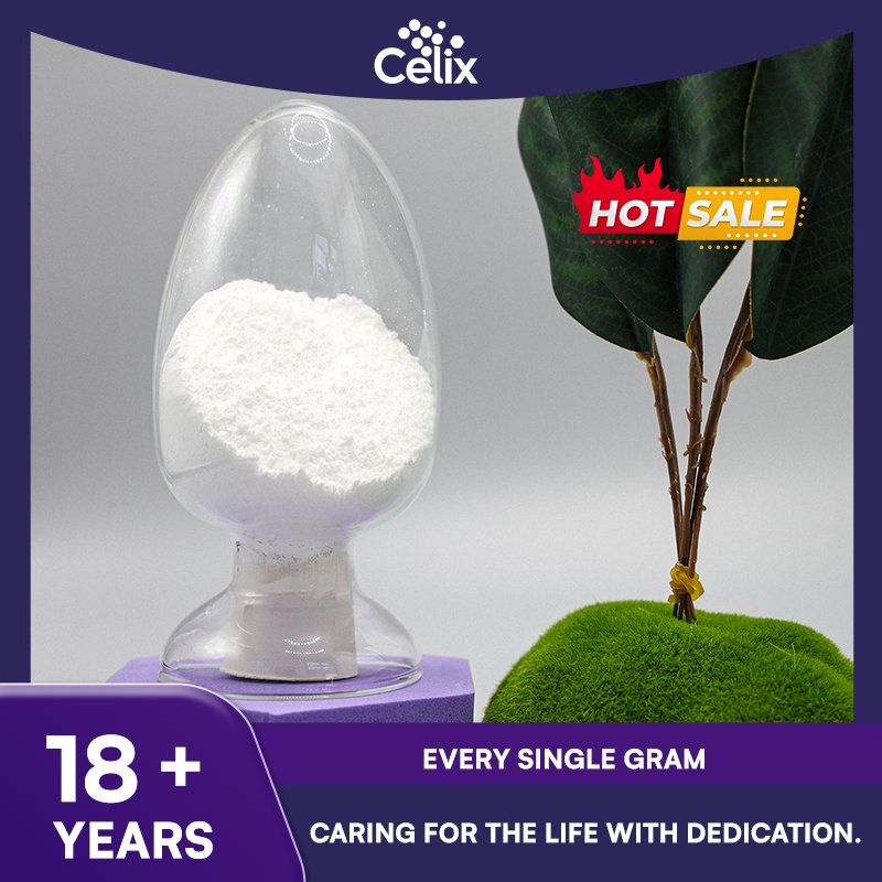 Factory Direct Sales CAS No.: 9002-89-5 Polyvinyl Alcohol Powder PVA for Tile Adhesive, Wall Putty, Dry Mix Mortar, Gypsum Plaster