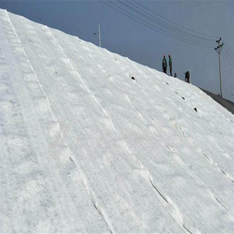 High Performance Customized Composite Geotextile China Drainage Board Building Material HDPE Geonet
