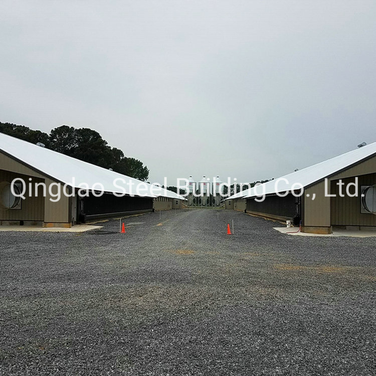 Prefab Steel Structure Poutlry Farm with Great Price