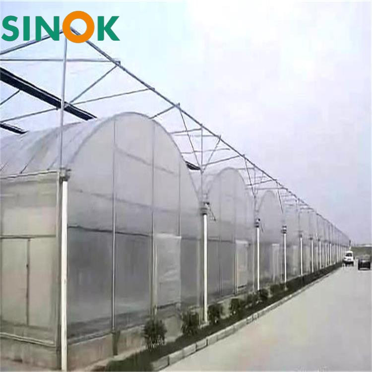Agricultural Greenhouses Used for Vanilla Cultivation