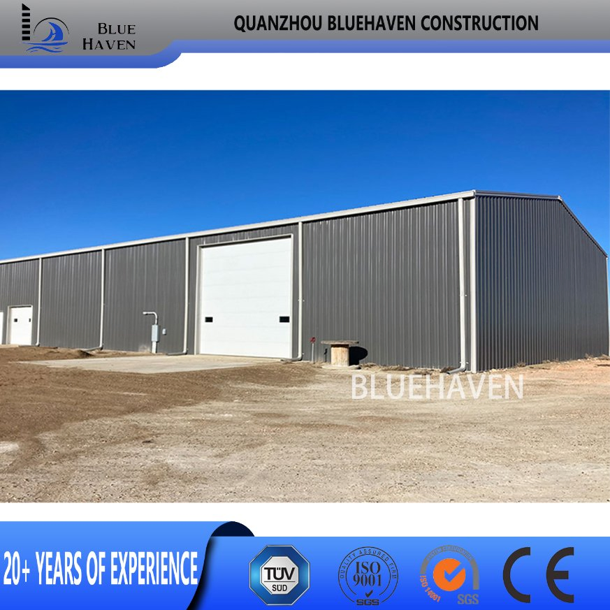Quick Build H Beam Structural Warehouse/Barns/Farm/Steel Structure Factory Warehouse