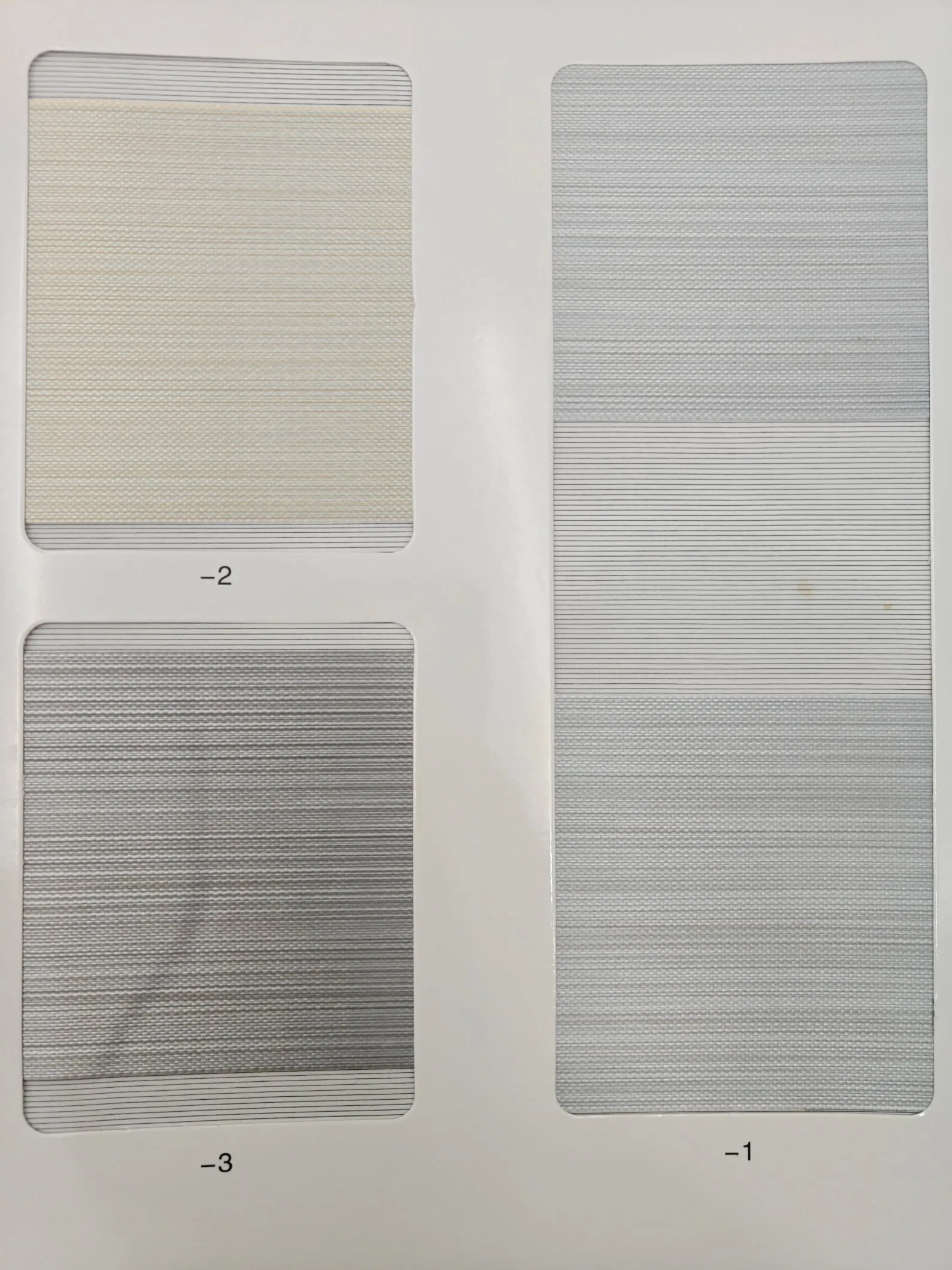 Premium Invisible Shield Zebra Blinds for Stylish Office Spaces