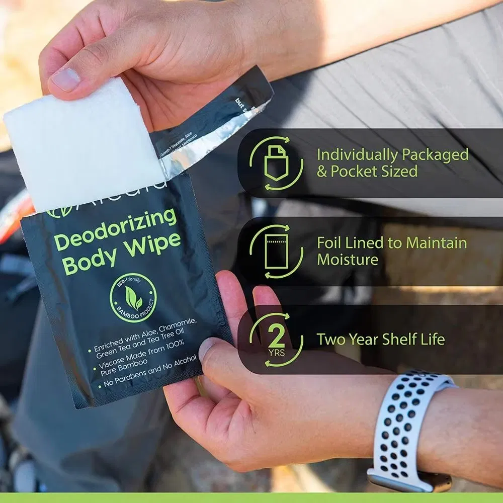OEM Private Label Biodegradable Individual Packing Cleaning Wet Wipes Scented Deodorant Wipes Flushable Full Body Wipes for Adults