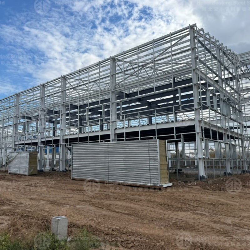 Large Structure Quality Steel Workshop with Robust Prefabricated Design