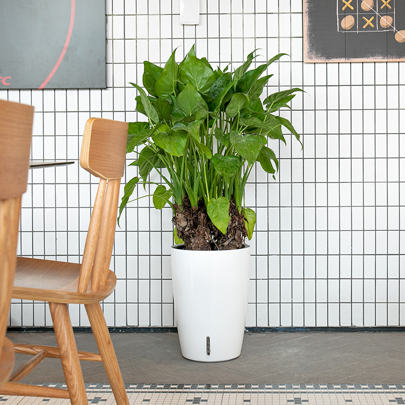 Горшки садовые пластиковые с автополивом