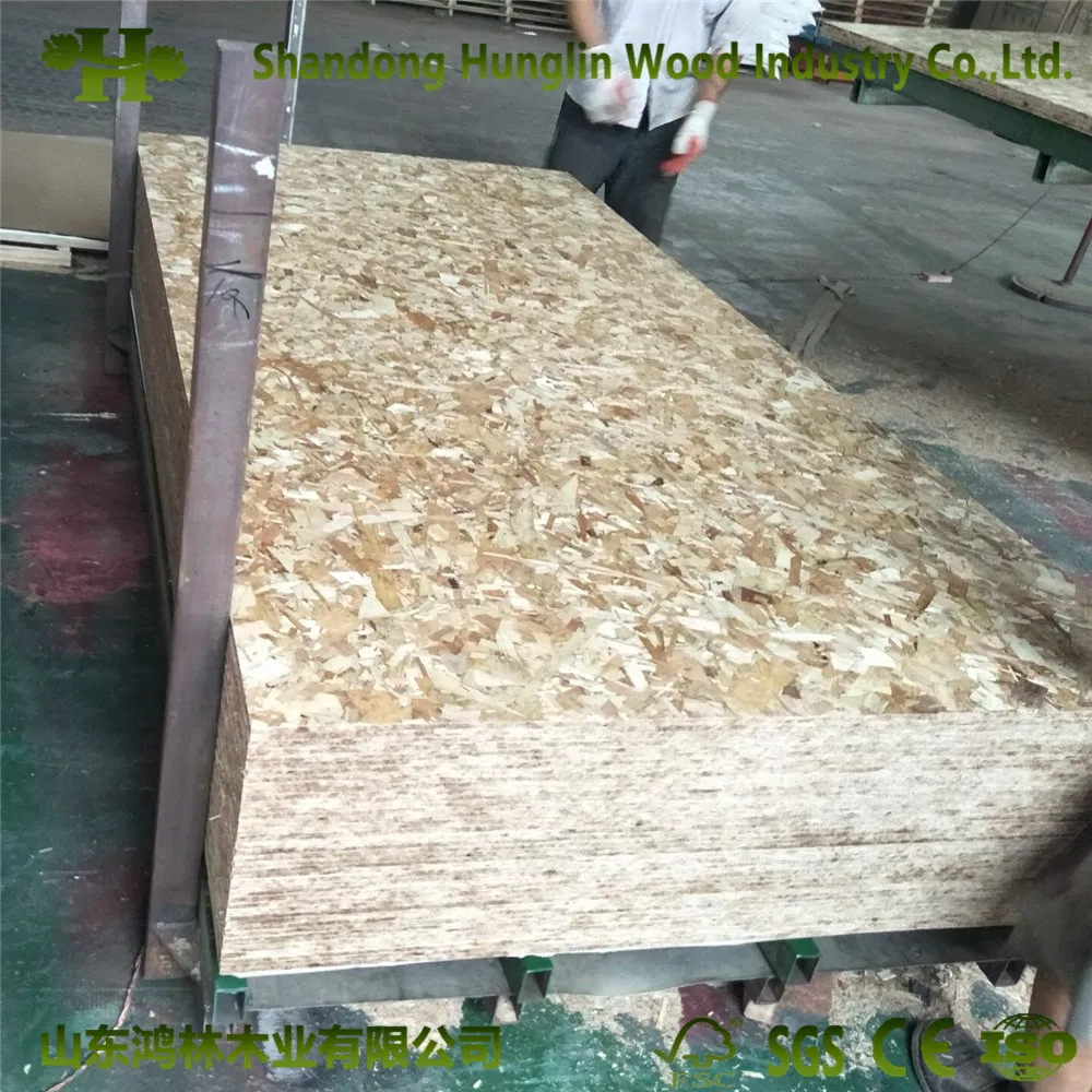 Hight Quality OSB for Selling From China Manufacturer Waterproof OSB Board