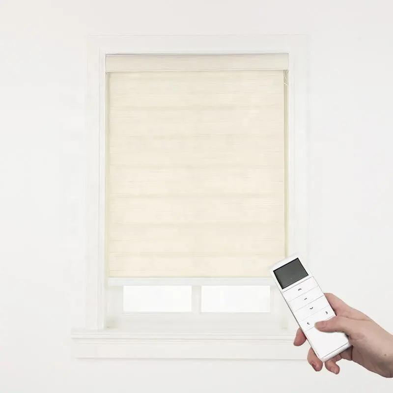 High Quality Roller Blade Shade for Window Double Layer Day and Night Smart Electric Motorized Roller Blinds