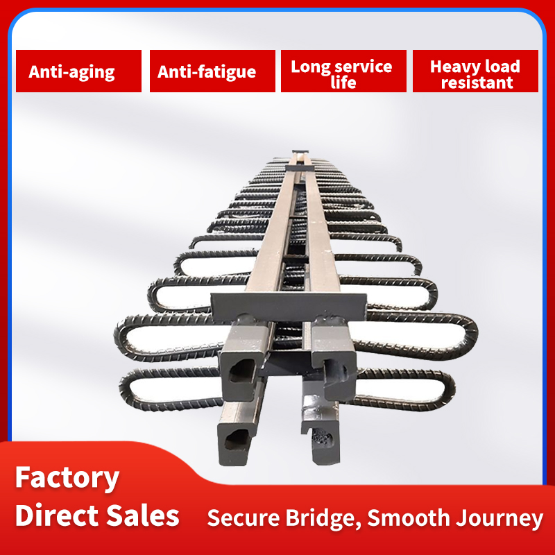 Bridge Stainless Steel Modular Expansion Joint for Bridge Construction and Maintenance
