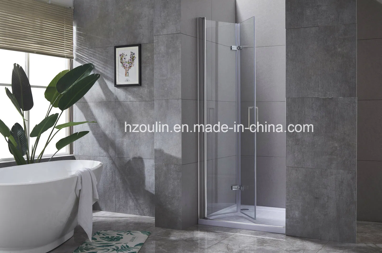 Shower Enclosure Door with Hinges