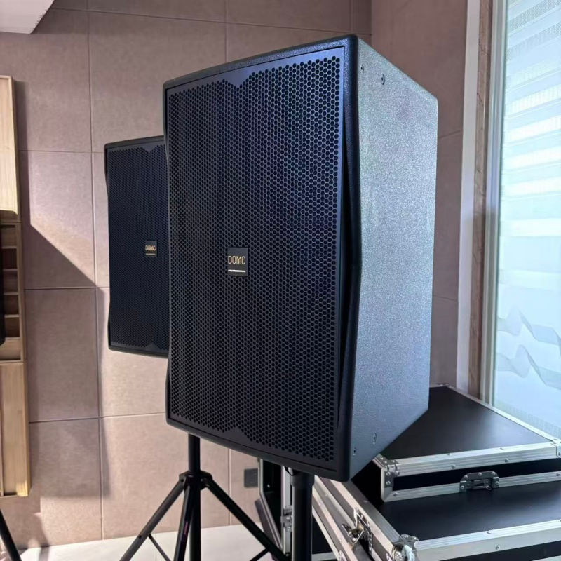Domc K215 15-Inch Speaker: Maximum Sound Pressure with 45Hz-20kHz Range