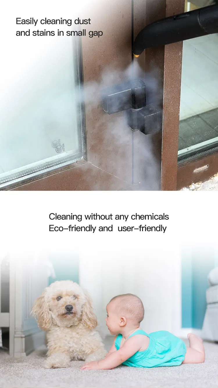 Portable Vacuum Electric Carpet Steam Cleaner for Car/Home/Office/Cinema