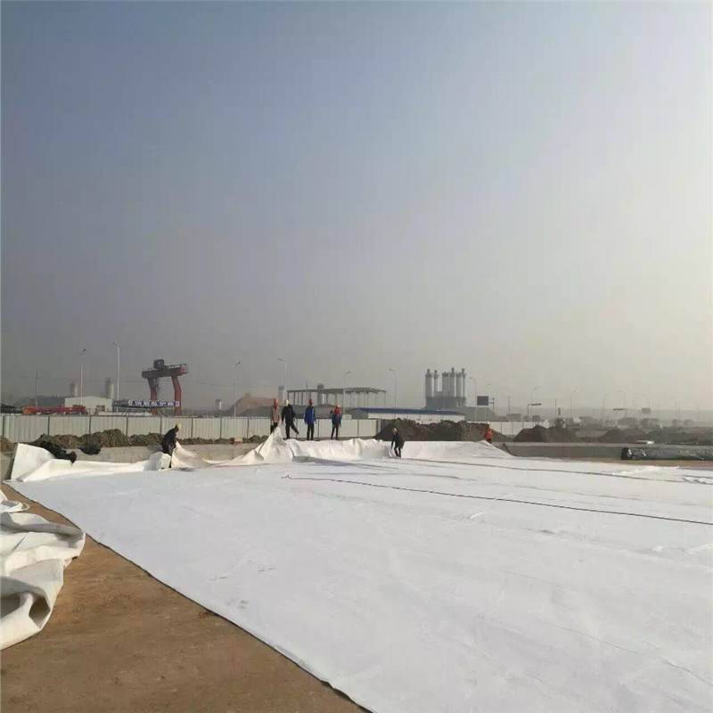 High Quality PP/Polyester Staple Fiber Geotextile