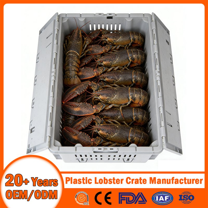 Stackable Nestable Ventilation/Drainage/Solid/Vented/Perforated Handheld Plastic Lobster Crate with Drainage Hole/Bale Arm/Hand/Divided for Seafood Transport