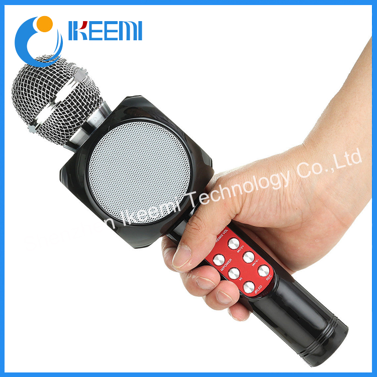 Microphone Wireless & Mini Karaoke Microphone & WiFi Microphone Speaker