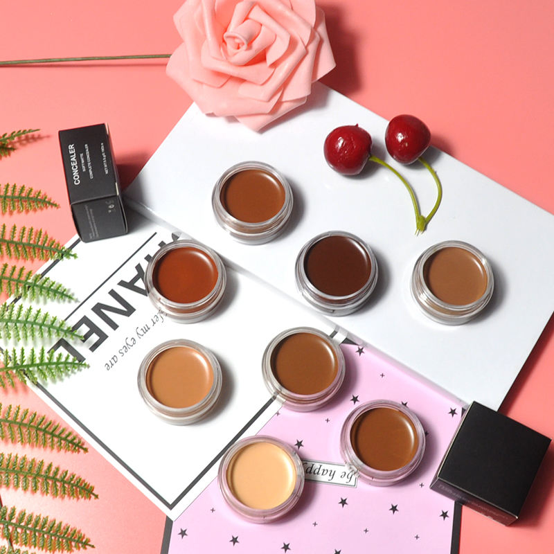 11 Colors Full Coverage Private Label High Quality Professional Makeup Concealer