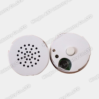 Voice Module Recorder Talking Box Speaker Device