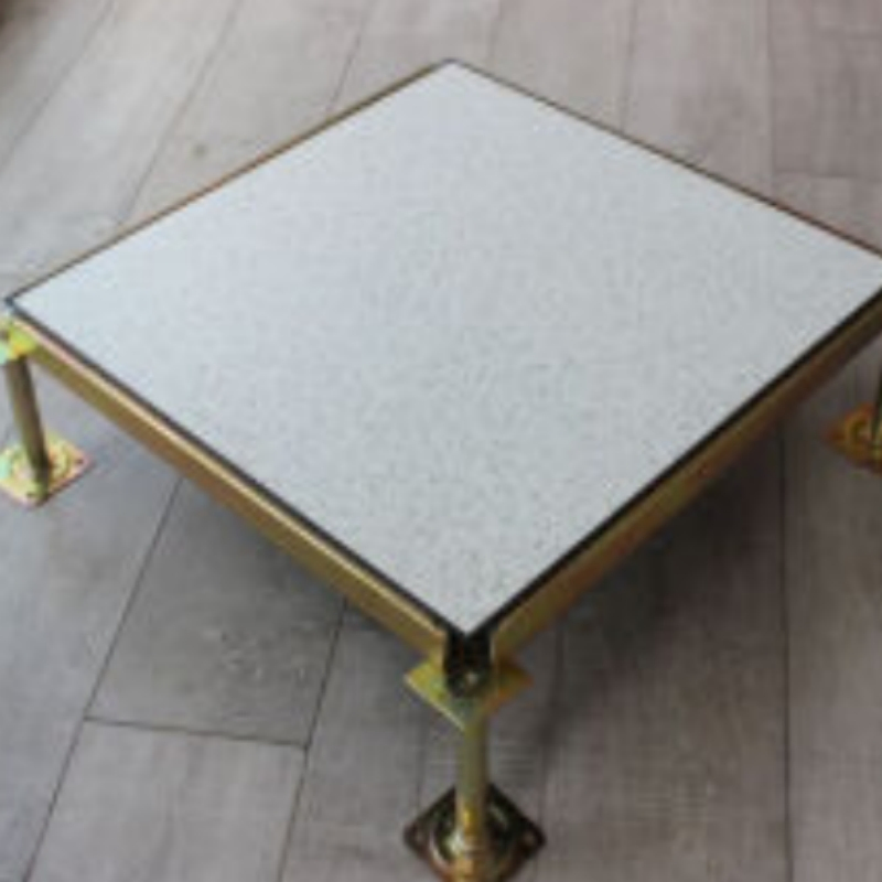 Anti Static Long-Lasting Wooden Core Raised Floor for Power Rooms