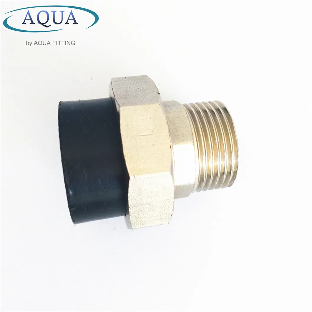 HDPE Welding Socket PE Fitting Male Thread Union High Quality
