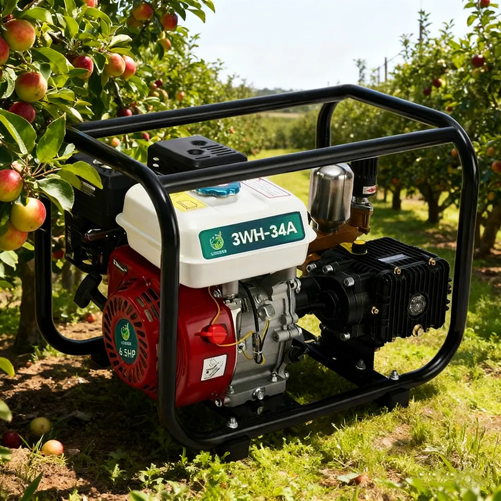 Agricultural Sprayer Trolley Type Gasoline Engine Sprayer 6.5 HP Gasoline Power Sprayer for Sale