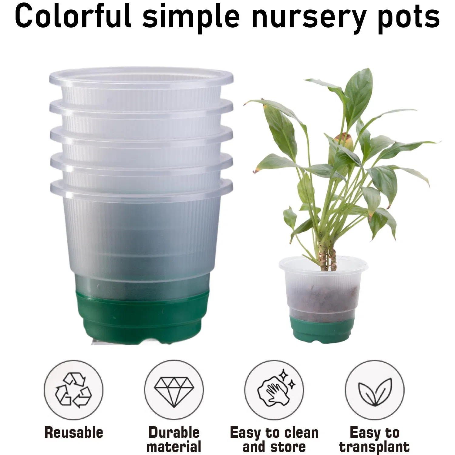 Round Thickened Nursery Pots with Dark Green Base Colorful Simple Design Durable and Reusable Plant Pots