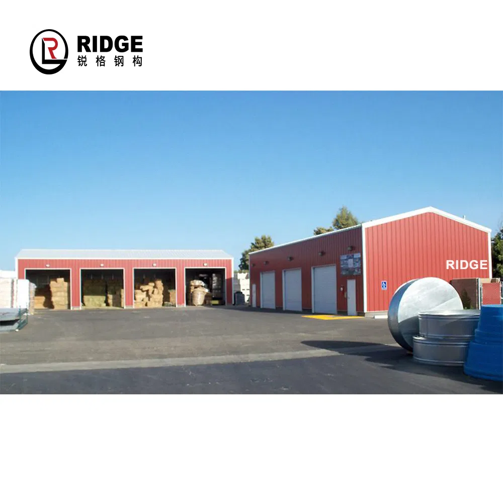 Customized Steel Structure Shed Gable Roof Garden Shed for