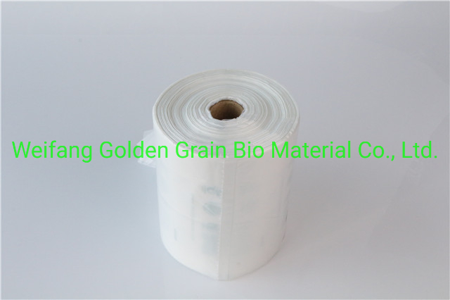 PLA Pbat Biodegradable and Compostable Clear Produce Bags Food Packing Bags