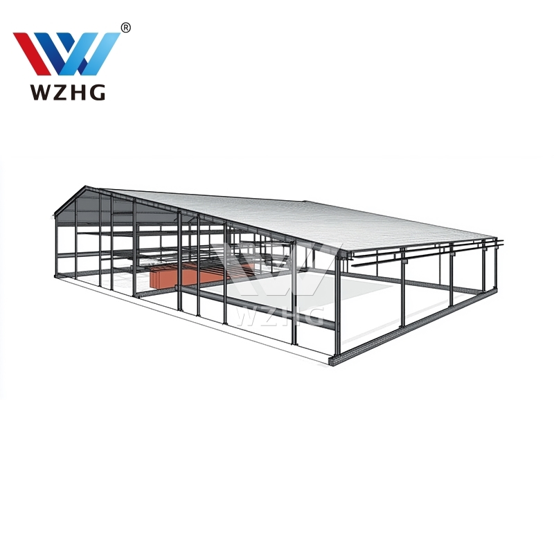 Modular Cheap Prefabricated Steel Structure Storage Warehouse Aircraft Hanger