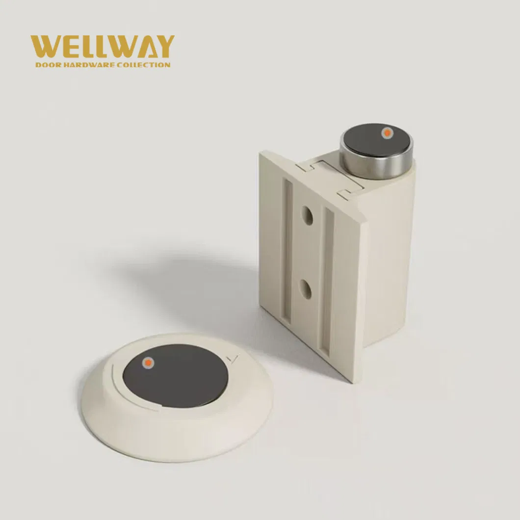 Light Brushed Gold Zinc Alloy Retractable Floor Door Stopper with Hidden Fixing Design for Cement Flooring China Manufacture - Ds-02-026