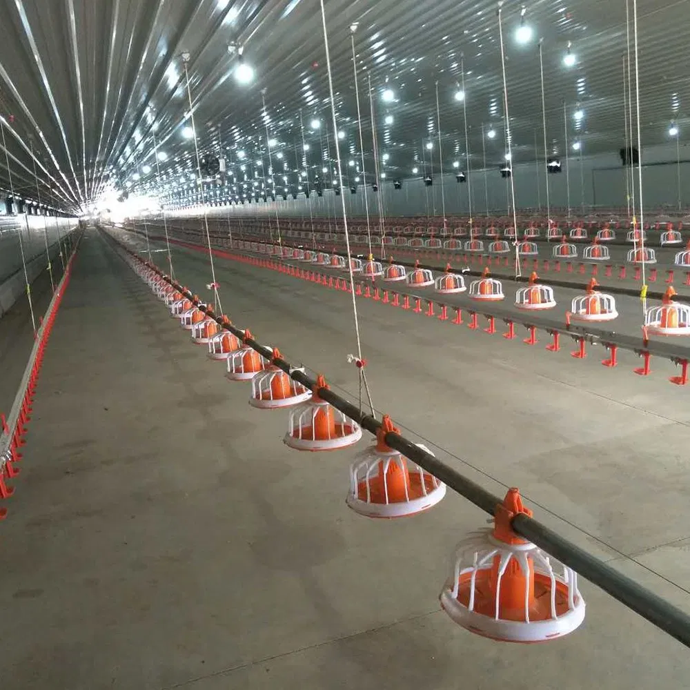 Prefabricated H Beam Prefab House Steel Small Poultry House From China
