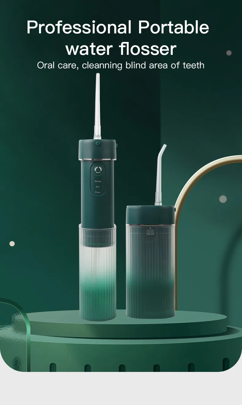 Wholesale Supplier Waterproof Floss Water Flosser with Fad
