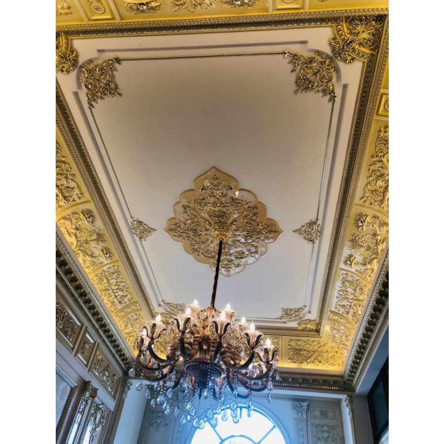 Banruo Gold Floral Rectangular Ceiling Medallion
