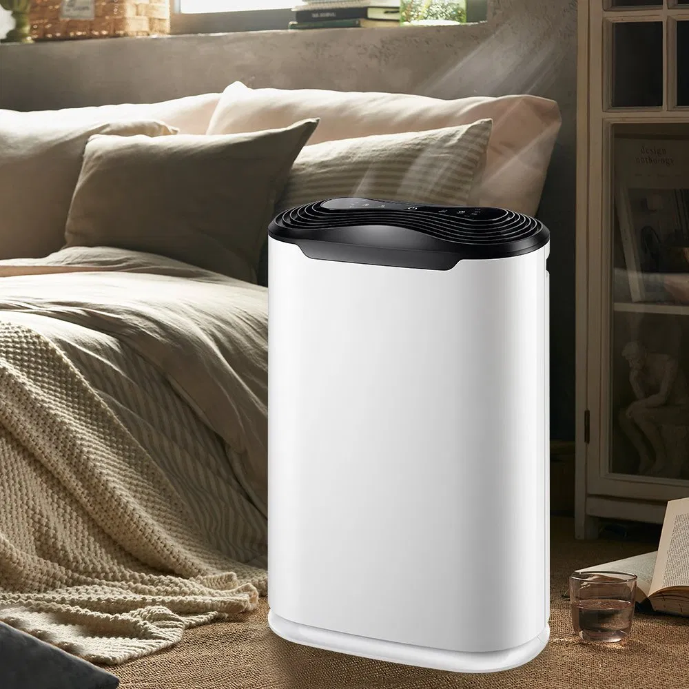 2024 New Designed Cheap Air Purifier