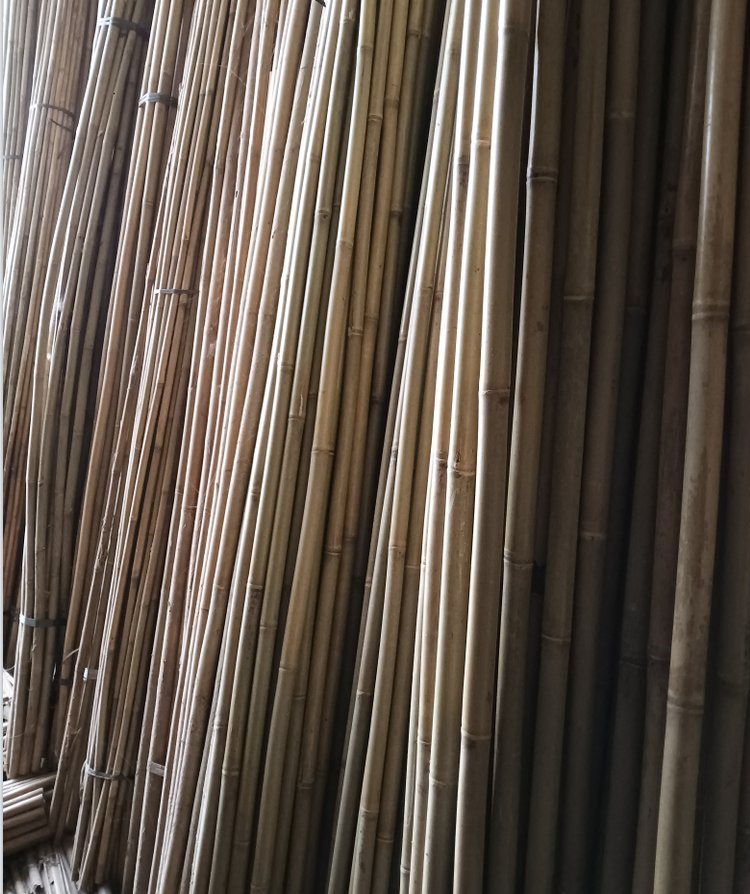 Bamboo Poles From The Hometown of Bamboo in China, with Beautiful Prices and First-Class Quality