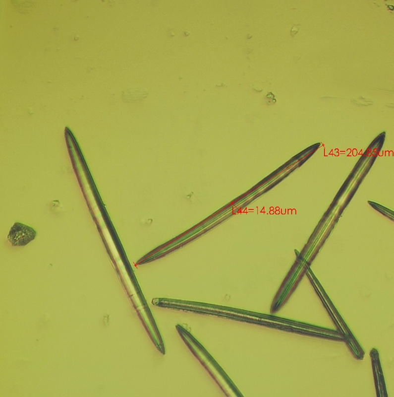 Hydrolyzed Sponge Powder No. 002-250μm-98% Spicule/Microneedle for Skin Care/Body Care/Whitening/Anti-Wrinkle