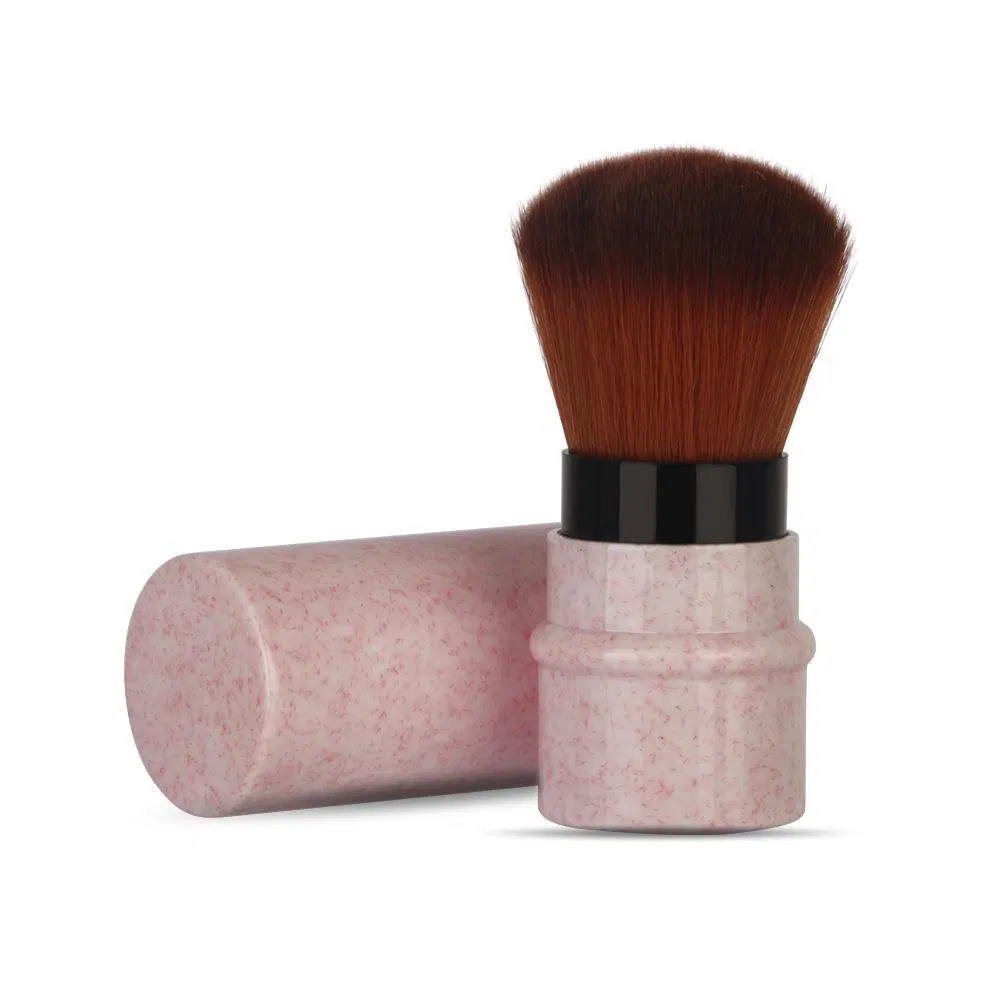 High Quality Wheat Straw Plastic Handle Telescoping Brush