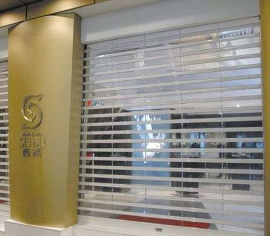 High Quality of Roller Shop Door