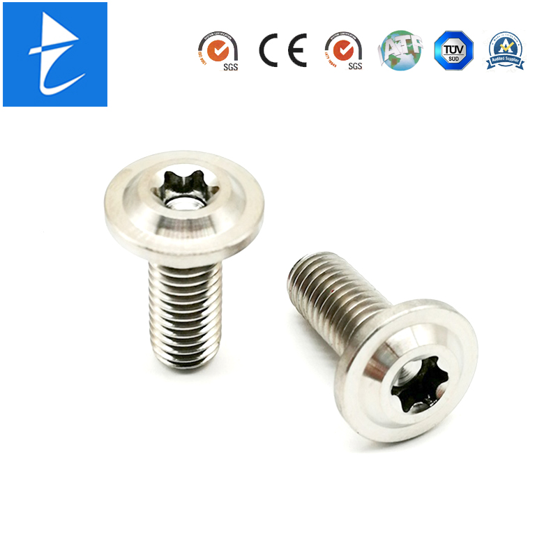 Custom Metal Titanium Grub Round Torx Socket Cap Head Captive Machine Screw