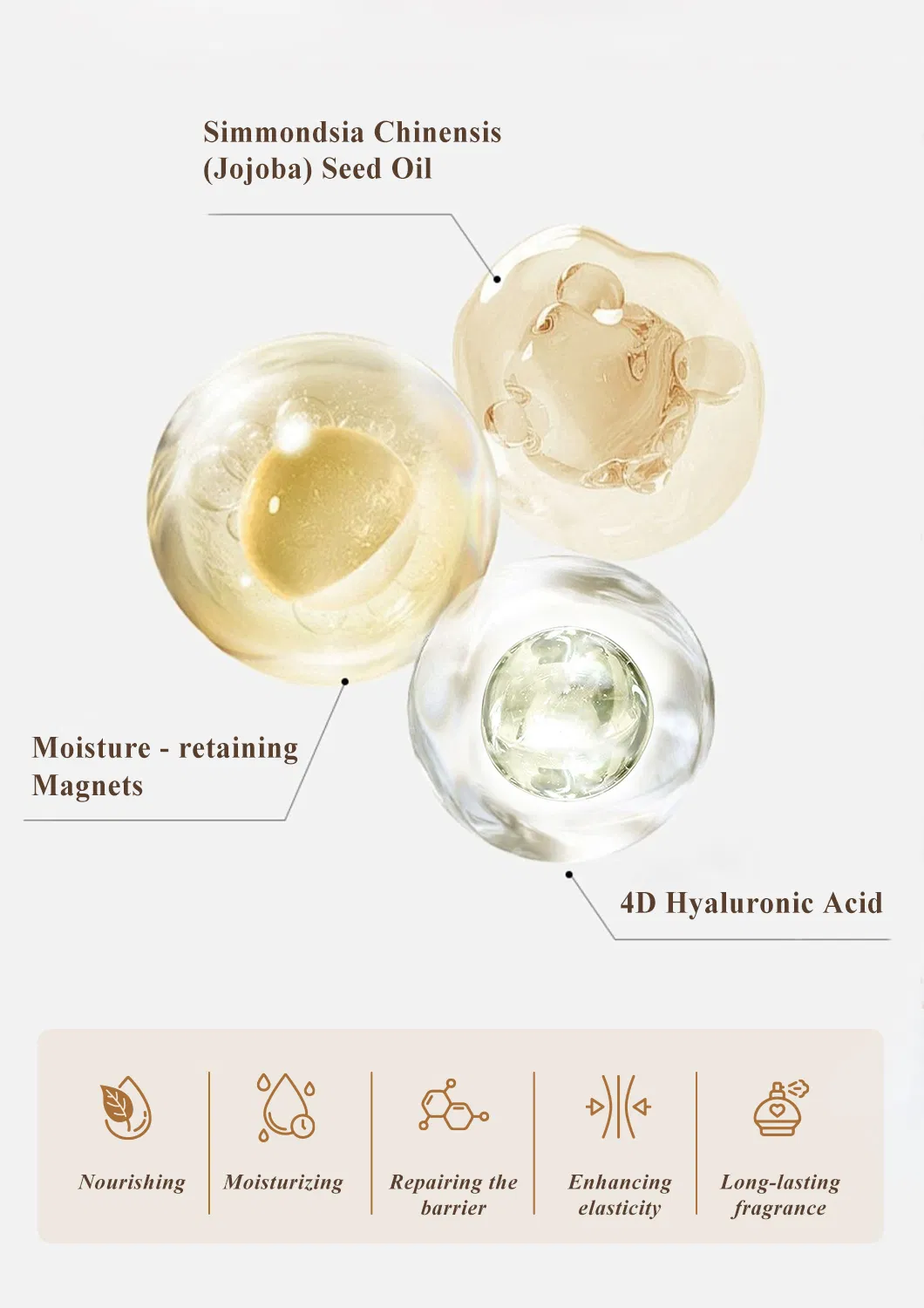 Luxury Scented Triple Seed Oil · Dreamy Fragrance Body Lotion