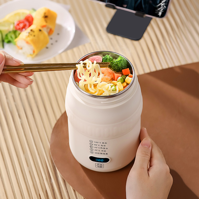 Smart Portable 5-in-1 Electric Kettle, 500ml, Type-C & 220V Dual Charging