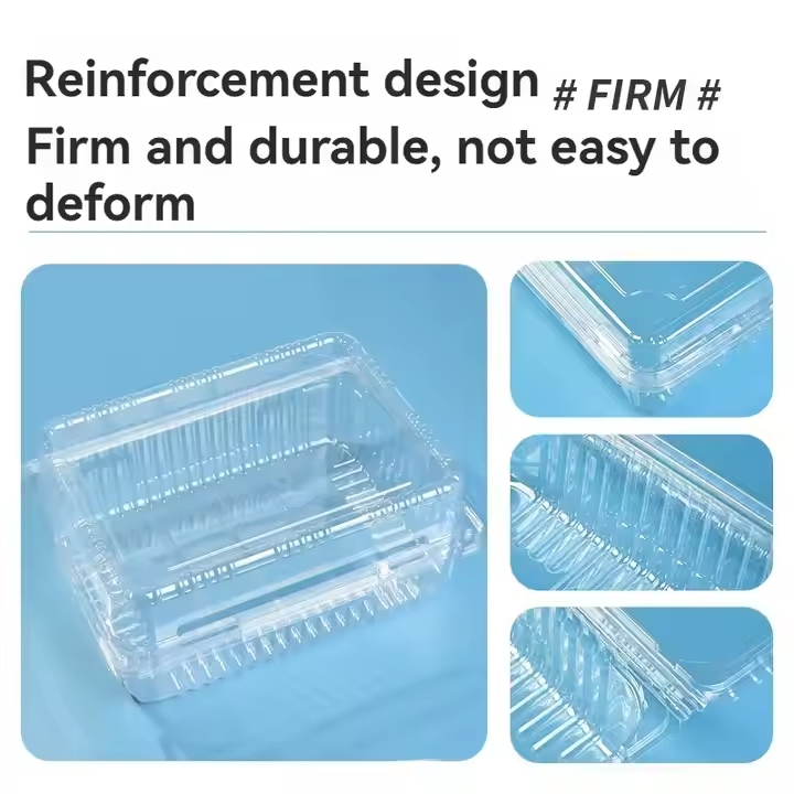 Plastic Plant Pot Suppliers Compostable Per Sushi Box Logo Seaweed Disposable Takeaway