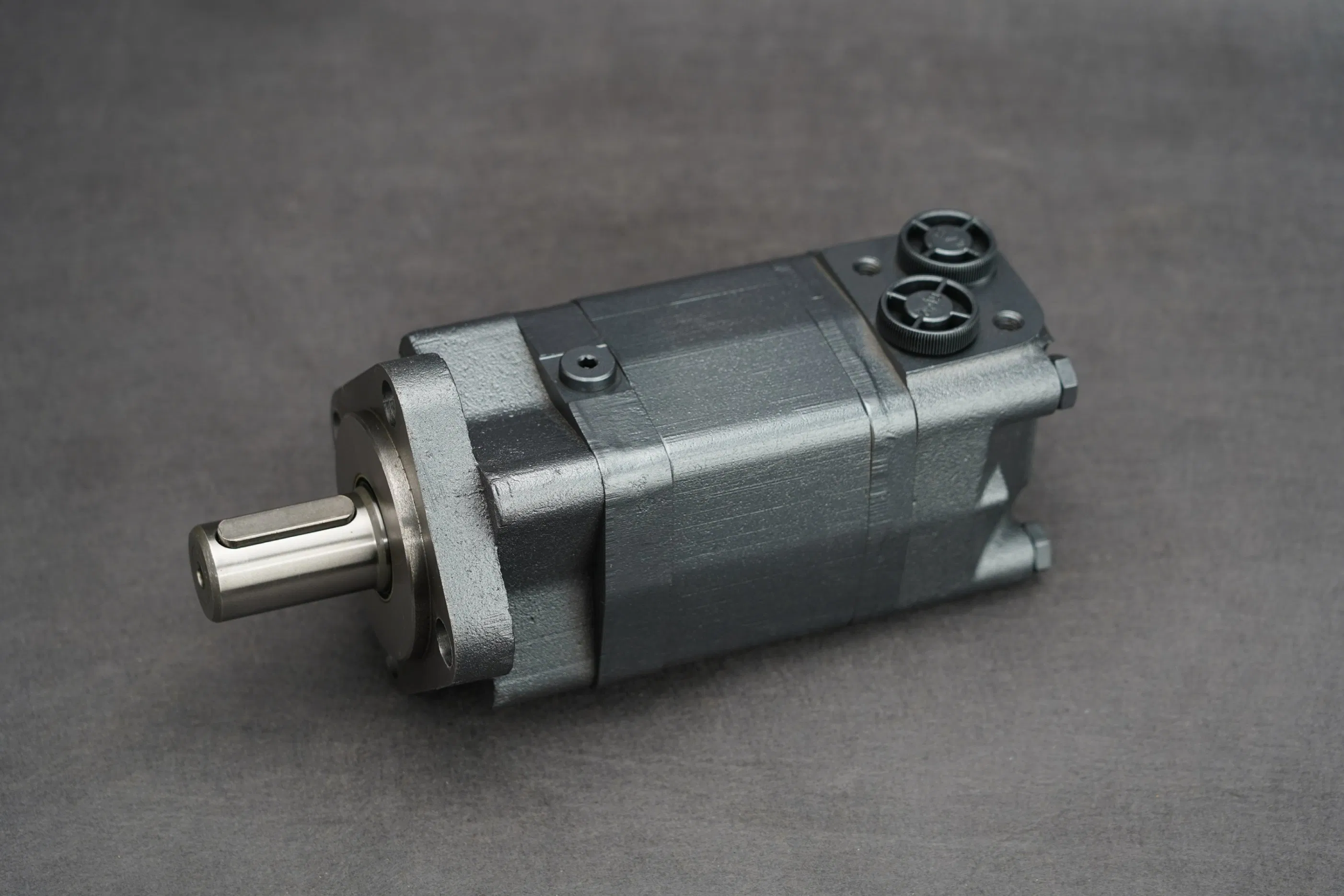 Blince Hi Pressure Shaft Seal Hidrolik Motor 400cc Compatible with Bm5 Series