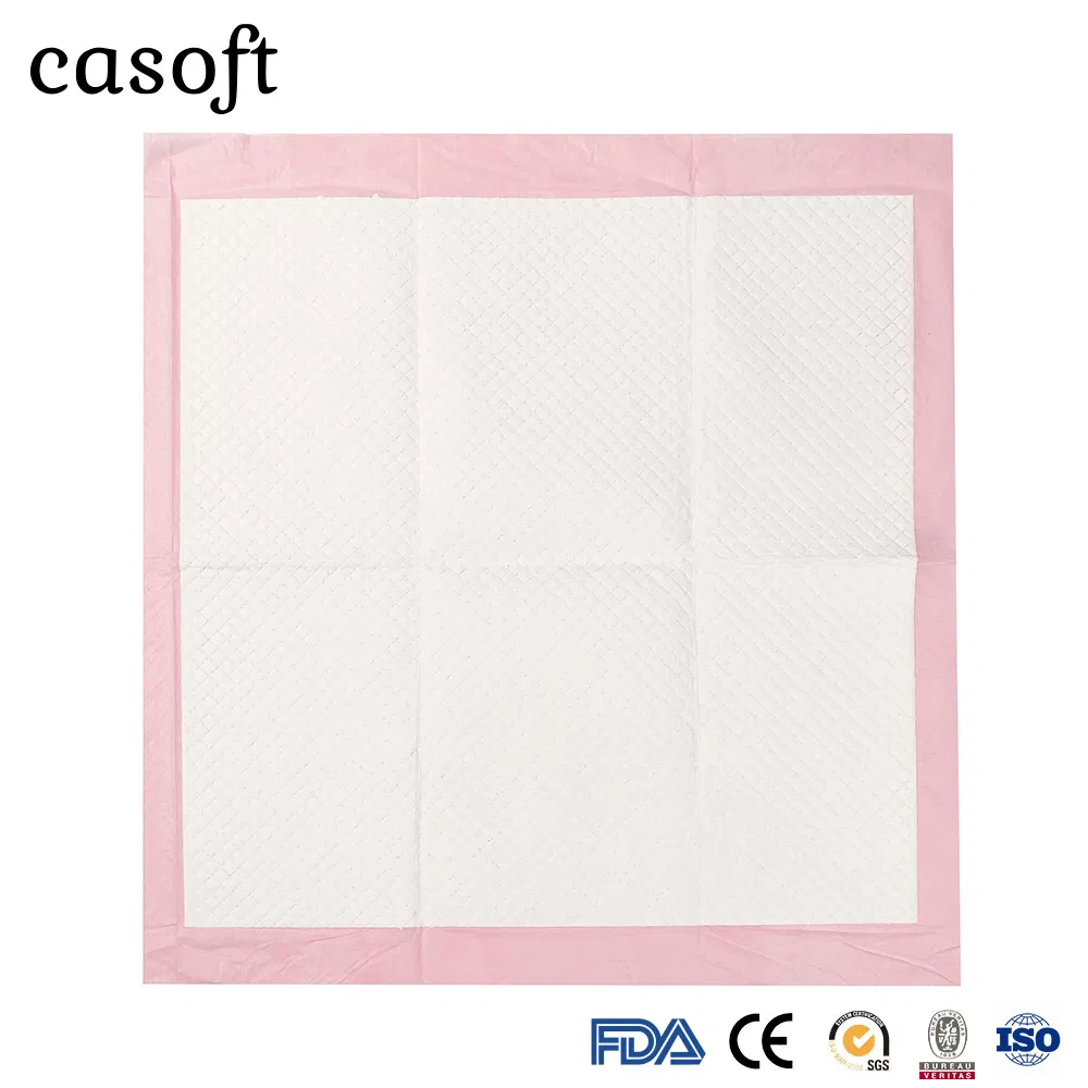 Large Size Super Absorbent Waterproof Casoft Non Slip Reusable Toilet Training Dog Pet PEE Pads Brazil
