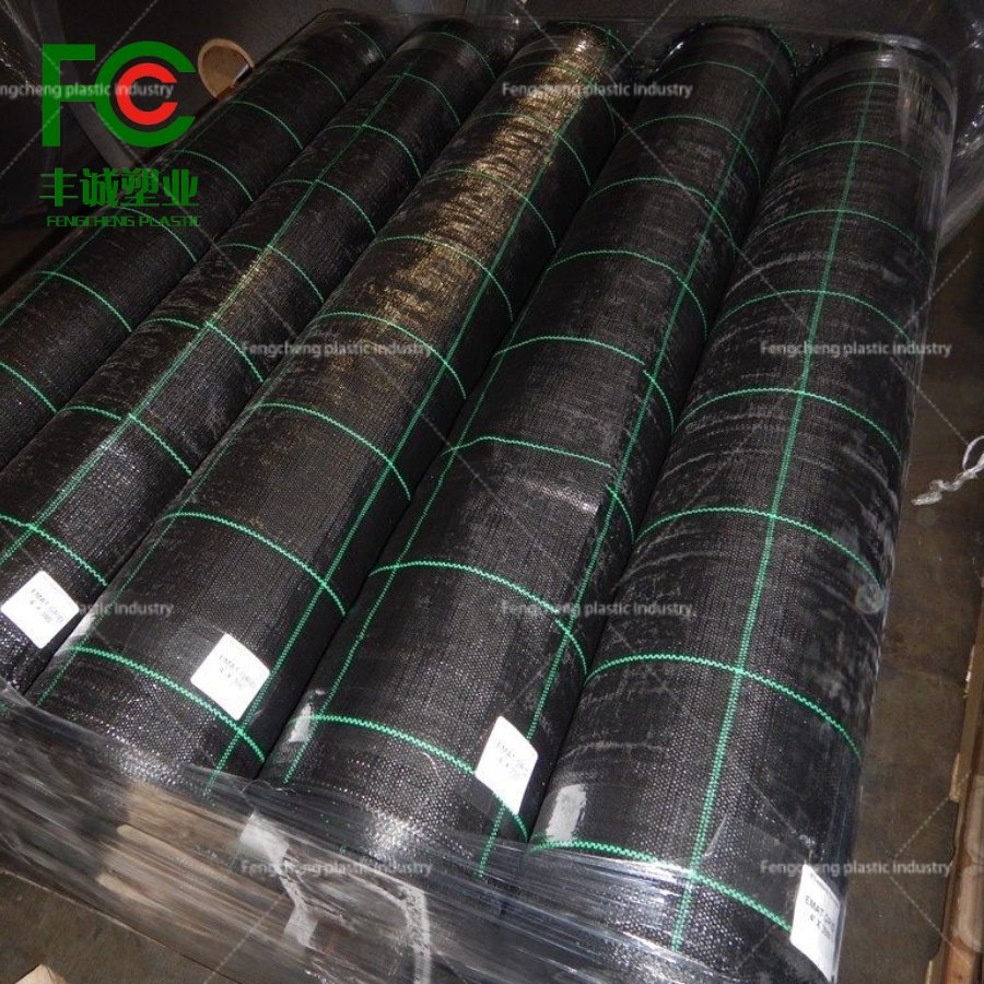PE Geotextile Weed Mat: Ideal Weed Barrier for Long-Term Protection